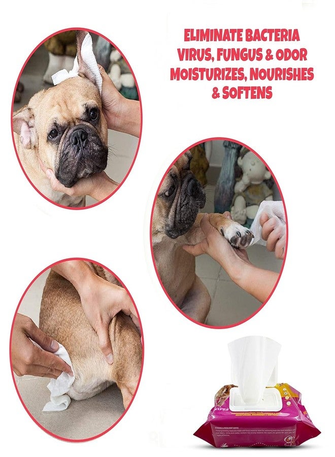 Pets Empire Wet Wipes for Dogs, Cats, Rabbit, Puppies & Small Animals (80Pcs x 2) Anti-Bacterial Cleaning and Daily Care Soft on Pets Skin, Dry Bath, Ear & Paw Daily Cleaning Grooming Wipes (15x20 cm) - Image 3